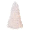 Full-National Tree Company Pre-Lit Artificial Full Christmas Tree, White, Dunhill Fir, White Lights, Includes Stand, 9 Feet
