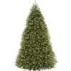 Full-National Tree Company Pre-Lit Artificial Full Christmas Tree, Green, Dunhill Fir, Dual Color Led Lights, Includes Stand, 9 Feet