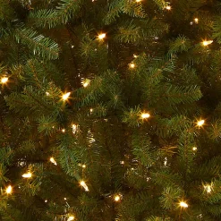 Full-National Tree Company Pre-Lit Artificial Full Christmas Tree, Green, Dunhill Fir, Dual Color Led Lights, Includes Stand, 9 Feet