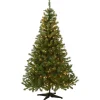 5Ft - 6Ft-National Tree Company Pre-Lit Artificial Medium Christmas Tree, Green, Kincaid Spruce, White Lights, Includes Stand, 6 Feet