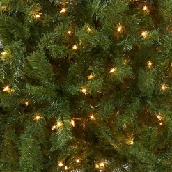5Ft - 6Ft-National Tree Company Pre-Lit Artificial Medium Christmas Tree, Green, Kincaid Spruce, White Lights, Includes Stand, 6 Feet