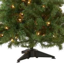 Full-National Tree Company Pre-Lit Artificial Mini Christmas Tree, Green, Kincaid Spruce, White Lights, Includes Stand, 4 Feet