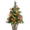 Under 5Ft-National Tree Company Pre-Lit Artificial Mini Christmas Tree, Green, Crestwood Spruce, White Lights, Decorated With Pine Cones, Berry Clusters, Frosted Branches, Includes Pot Base, 2 Feet