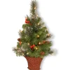 5Ft - 6Ft-National Tree Company Pre-Lit Artificial Mini Christmas Tree, Green, Crestwood Spruce, White Lights, Decorated With Pine Cones, Berry Clusters, Frosted Branches, Includes Wicker Base, 3 Feet