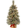 Slim-National Tree Company Pre-Lit Artificial Mini Christmas Tree, Green, Glittery Bristle Pine, White Led Lights, Flocked With Pine Cones, Frosted Branches, Includes Cloth Bag Base, 3 Feet