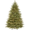 National Tree Company Full^Pre-Lit 'Feel Real' Artificial Medium Christmas Tree, Green, Nordic Spruce, White Lights, Includes Stand, 7.5 Feet