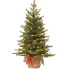 Led-National Tree Company Pre-Lit 'Feel Real' Artificial Mini Christmas Tree, Green, Nordic Spruce, White Lights, Includes Burlap Bag Base, 3 Feet