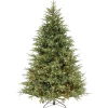 National Tree Company Full^Pre-Lit 'Feel Real' Artificial Full Christmas Tree, Green, Frasier Grande, White Lights, Includes Stand, 7.5 Feet
