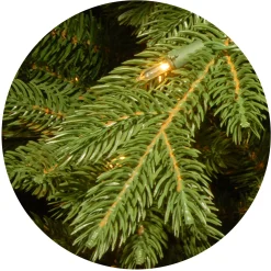 National Tree Company Full^Pre-Lit 'Feel Real' Artificial Full Downswept Christmas Tree, Green, Douglas Fir, Dual Color Led Lights, Includes Powerconnect And Stand, 7.5 Feet