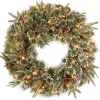 21" To 24" Wreath-National Tree Company Pre-Lit 'Feel Real' Artificial Christmas Wreath, Green, Liberty Pine, White Lights, Decorated With Frosted Branches, Pine Cones, Christmas Collection, 24 Inches