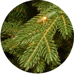 National Tree Company Full^Pre-Lit 'Feel Real' Artificial Full Downswept Christmas Tree, Green, Douglas Fir, Dual Color Led Lights, Includes Stand And Powerconnect, 7.5 Feet