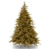 Full-National Tree Company Pre-Lit 'Feel Real' Artificial Full Christmas Tree, Green, Frasier Grande, Dual Color Led Lights, Includes Stand, 6 Feet