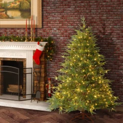 Full-National Tree Company Pre-Lit 'Feel Real' Artificial Full Christmas Tree, Green, Frasier Grande, Dual Color Led Lights, Includes Stand, 6 Feet