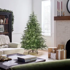 Full-National Tree Company Pre-Lit 'Feel Real' Artificial Full Christmas Tree, Green, Frasier Grande, Dual Color Led Lights, Includes Stand, 6 Feet