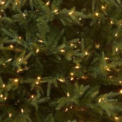 Full-National Tree Company Pre-Lit 'Feel Real' Artificial Full Christmas Tree, Green, Frasier Grande, Dual Color Led Lights, Includes Stand, 6 Feet