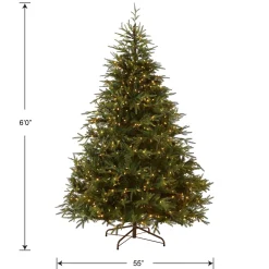 Full-National Tree Company Pre-Lit 'Feel Real' Artificial Full Christmas Tree, Green, Frasier Grande, Dual Color Led Lights, Includes Stand, 6 Feet