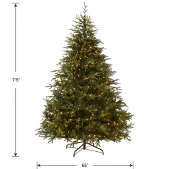Full-National Tree Company Pre-Lit 'Feel Real' Artificial Full Christmas Tree, Green, Frasier Grande, Dual Color Led Lights, Includes Stand, 7.5 Feet