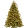 5Ft - 6Ft-National Tree Company Pre-Lit 'Feel Real' Artificial Full Christmas Tree, Green, Nordic Spruce, White Lights, Includes Stand, 6.5 Feet
