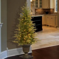 Clear-National Tree Company Pre-Lit 'Feel Real' Artificial Mini Entrance Christmas Tree, Green, Nordic Spruce, White Lights, Includes Decorative Urn Base, 4 Feet