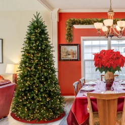 Slim-National Tree Company Pre-Lit Slim Artificial Christmas Tree, Green, Jersey Fraser Fir, 'Feel Real', White Lights, Includes Stand, 6.5 Feet