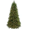 National Tree Company Slim^Pre-Lit Slim Artificial Christmas Tree, Green, Jersey Fraser Fir, 'Feel Real', White Lights, Includes Stand, 7.5 Feet