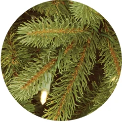National Tree Company Slim^Pre-Lit Slim Artificial Christmas Tree, Green, Jersey Fraser Fir, 'Feel Real', White Lights, Includes Stand, 7.5 Feet