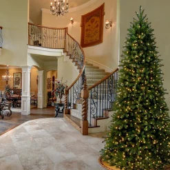 Slim-National Tree Company Pre-Lit Slim Artificial Christmas Tree, Green, Jersey Fraser Fir, 'Feel Real', White Lights, Includes Stand, 9 Feet