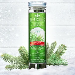 Christmas Tree Scent-National Tree Company Scented Ornaments, 2 Pack- 6Ct Bottle, White Winter Fir, Fragrance-Infused Paper Sticks