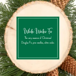 Christmas Tree Scent-National Tree Company Scented Ornaments, 2 Pack- 6Ct Bottle, White Winter Fir, Fragrance-Infused Paper Sticks