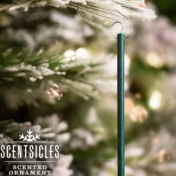 Christmas Tree Scent-National Tree Company Scented Ornaments, 2 Pack- 6Ct Bottle, White Winter Fir, Fragrance-Infused Paper Sticks