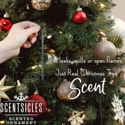 Christmas Tree Scent-National Tree Company Scented Ornaments, 2-Pack- 6Ct Bottle, 2 Dashes Of Cinnamon, Fragrance-Infused Paper Sticks