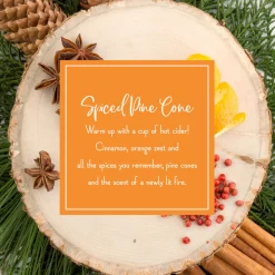 Harvest Scent-National Tree Company Scented Ornaments, 2-Pack- 6Ct Bottle, Spiced Pine Cones, Fragrance-Infused Paper Sticks