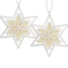 Christmas Tree Scent-National Tree Company Scentsicles, Scented Star Ornament, White Winter Fir, 2-Pack