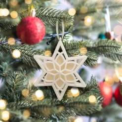 Christmas Tree Scent-National Tree Company Scentsicles, Scented Star Ornament, White Winter Fir, 2-Pack