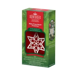 Christmas Tree Scent-National Tree Company Scentsicles, Scented Star Ornament, White Winter Fir, 2-Pack