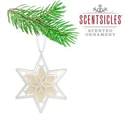 Christmas Tree Scent-National Tree Company Scentsicles, Scented Star Ornament, White Winter Fir, 2-Pack